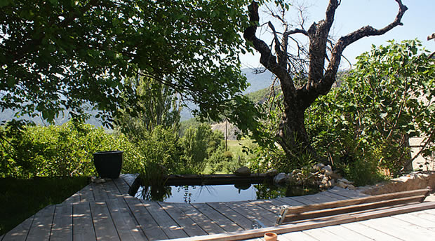 terrasse en bois, arbres, collines